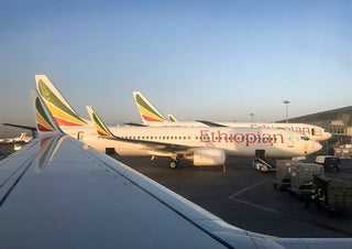 African development: Months After Deadly Ethiopia Crash, Boeing 737 Max Has Been Cleared To Fly Again